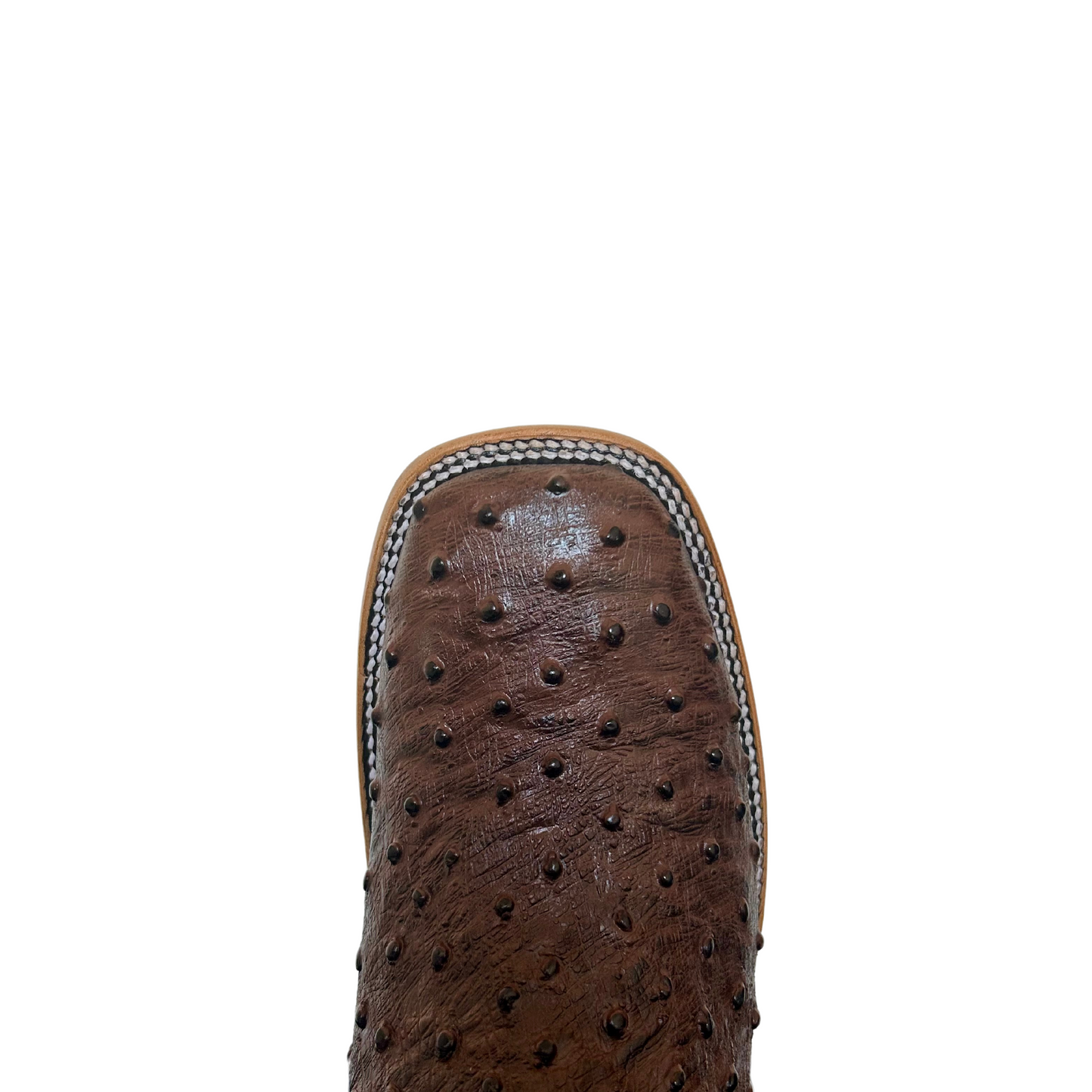 BOTA PARRAL AVESTRUZ