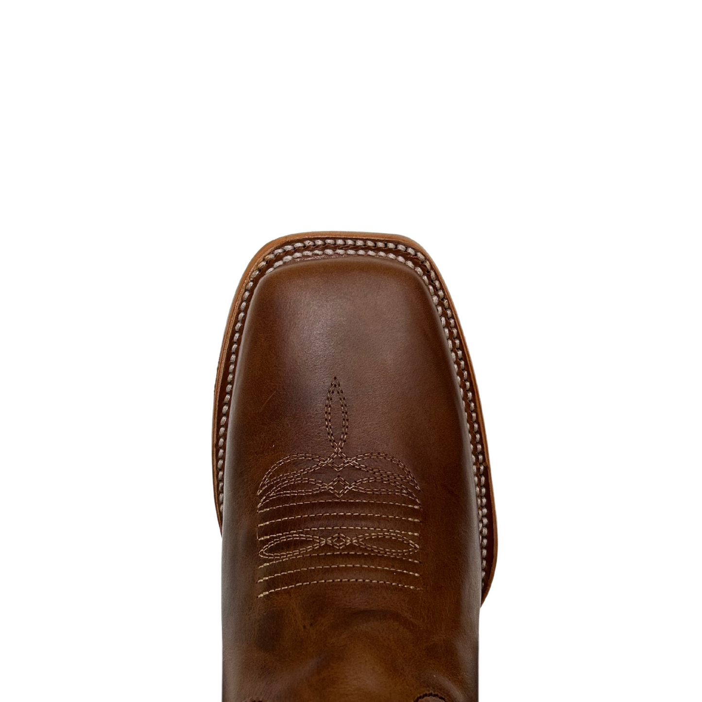 BOTA NOKOTA CANDIDA